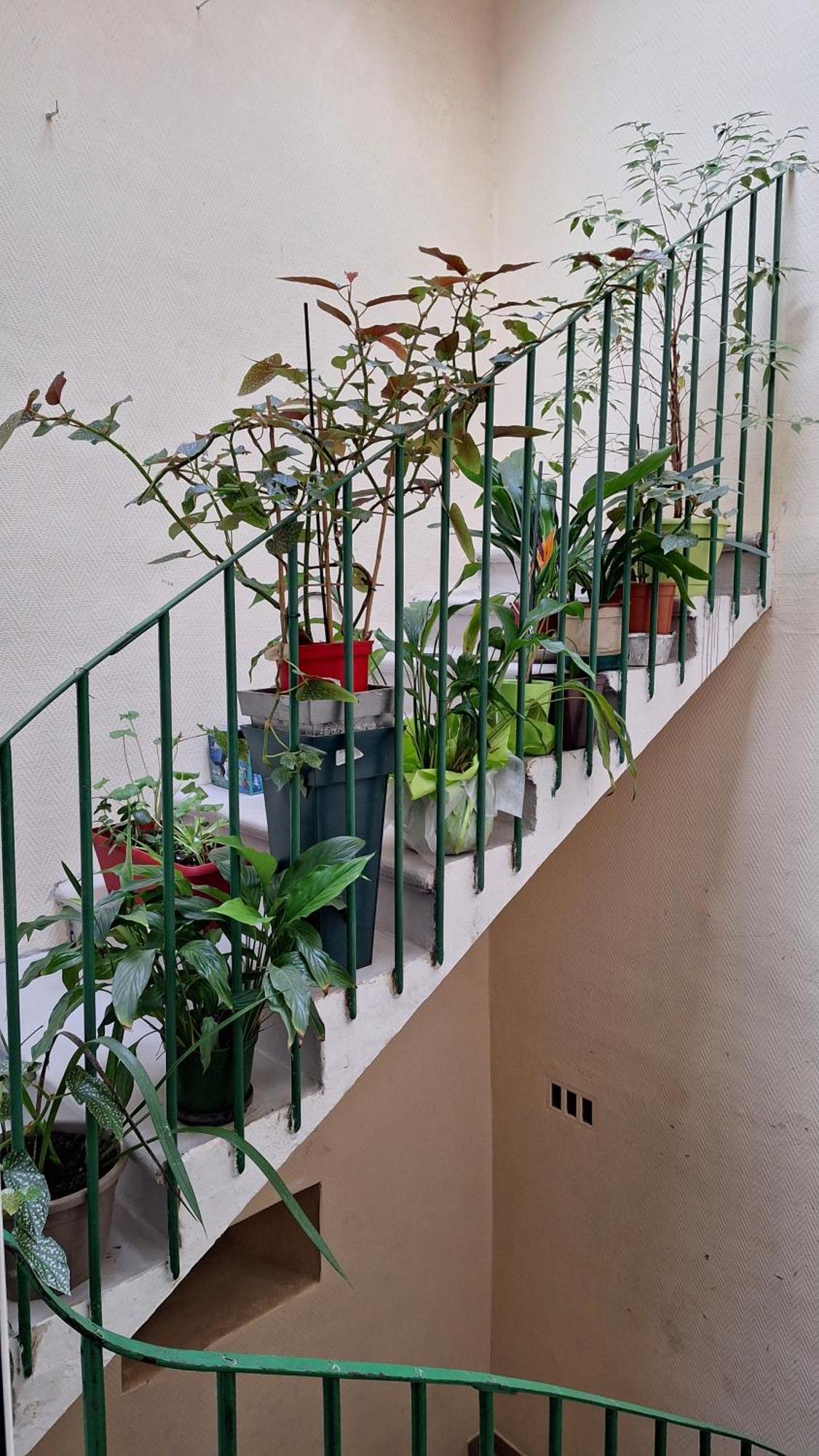 Vacance Et Cure Dans Duplex 80 M2 A Ceret 66400 외부 사진